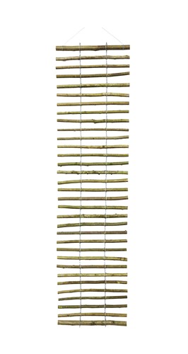 Spaljeé Pil(obarkad), 0.5 x 2.0 m